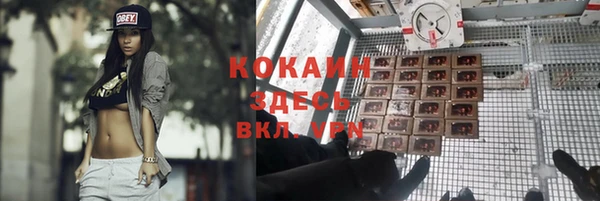 гидра Богородицк