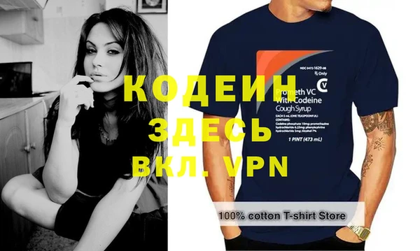 гидра Богородицк