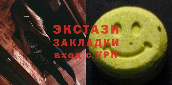 гидра Богородицк