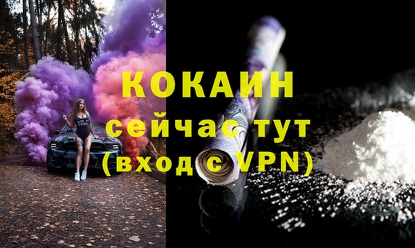 гидра Богородицк