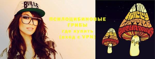 тгк Богданович