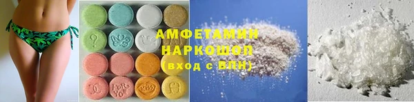 гидра Богородицк