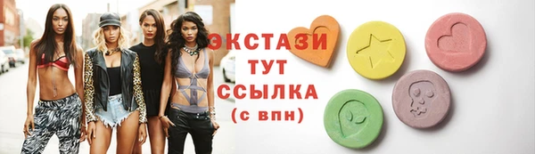 гидра Богородицк
