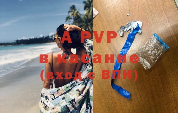 тгк Богданович