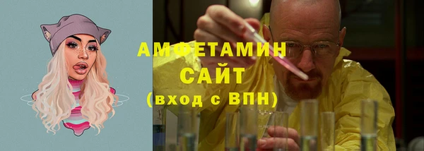 гидра Богородицк