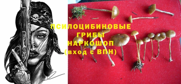 меф Богородск