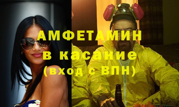 гидра Богородицк