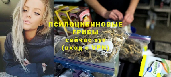 тгк Богданович