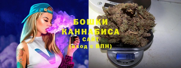 тгк Богданович