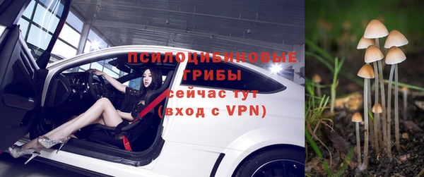 тгк Богданович
